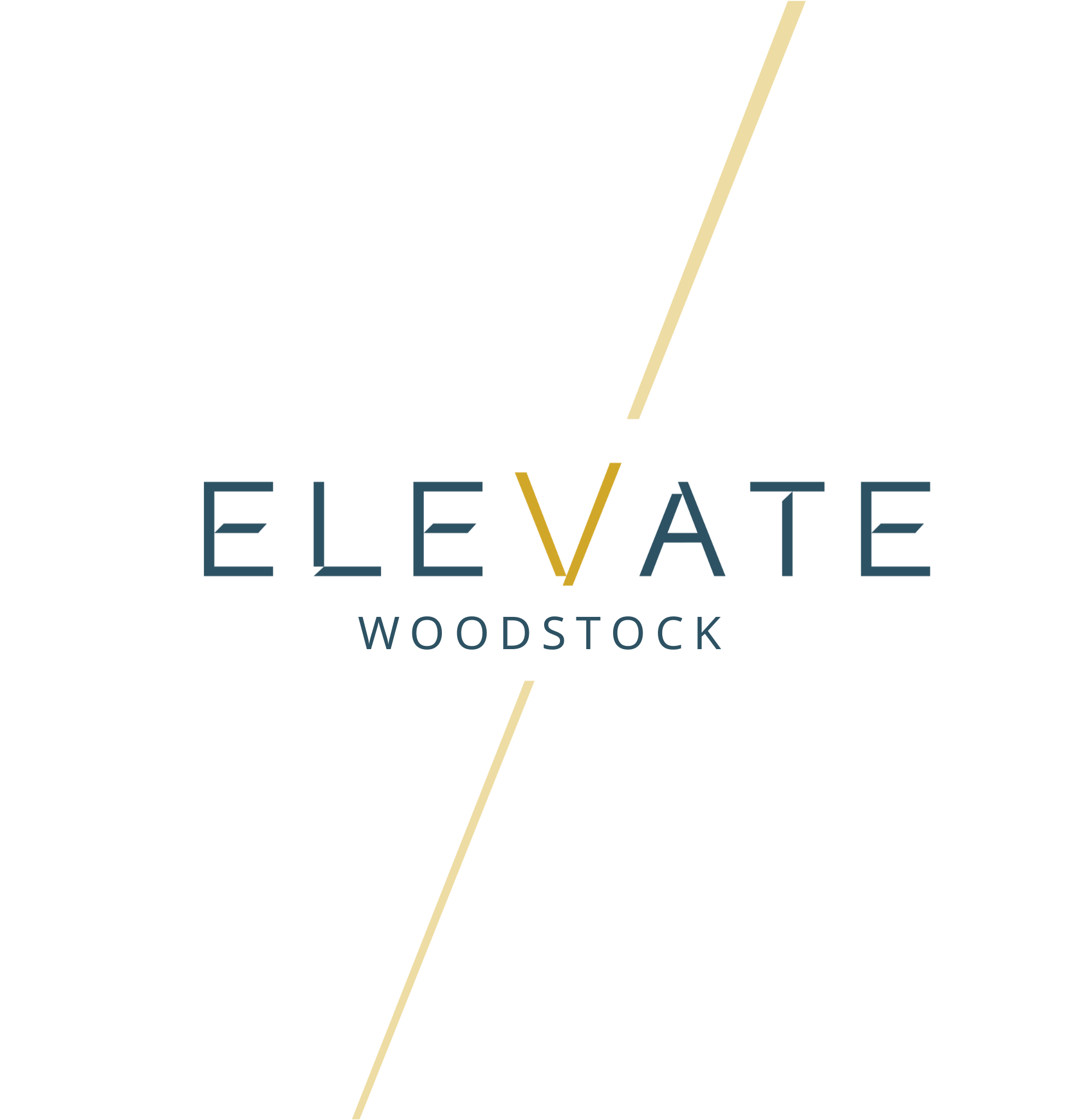 A graphic with the word "ELEVATE" in the center.